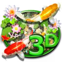 3D Koi Fish Water Stone Theme