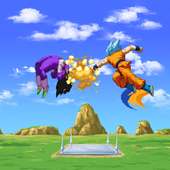 goku saiyan fight warrior Z