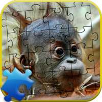 Funny Puzzle