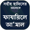 ফাজায়েলে আমাল বা তাবলীগি নেসাব - Fazail E Amaal icon