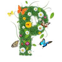 Periodic Table on 9Apps