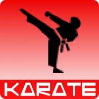 Karate training