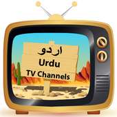 Urdu TV
