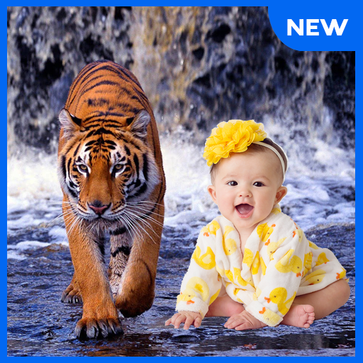 Tiger Photo Frames icon