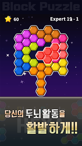 블록 퍼즐 헥사 screenshot 2