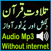Mp3 Quran Tilawat Audio Shatri icon