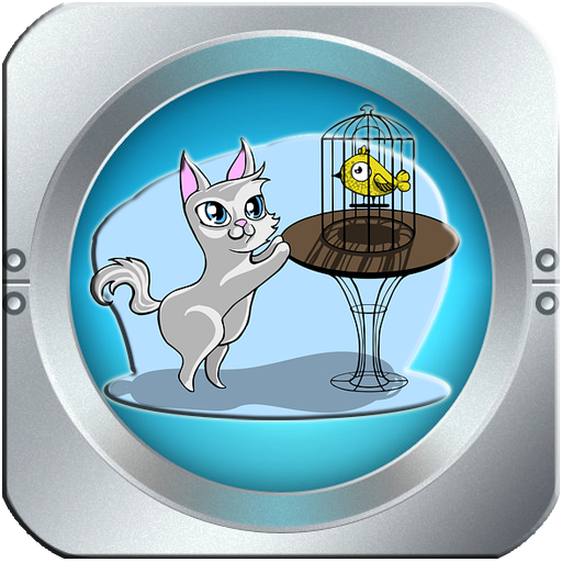 Como Fácil Educar Ao Teu Gato Xa Que é Pequeno icon