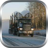 camion trasporto inverno