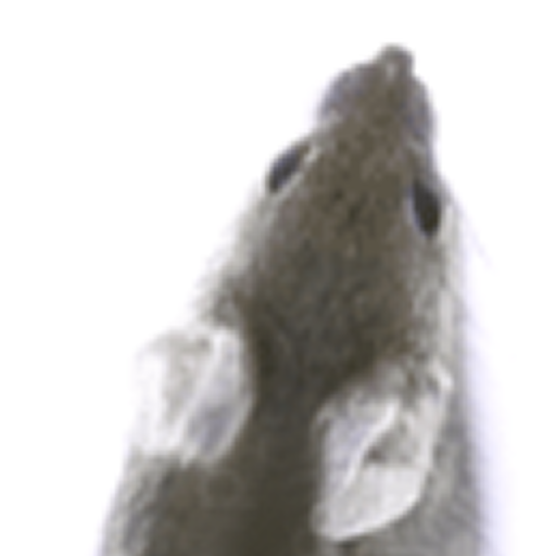 Mice - Cat´s Game icon