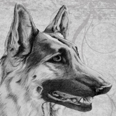 Dogs Wallpapers icon