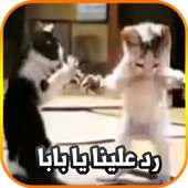 رد علينا يا بابا on 9Apps