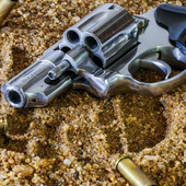 Gun Wallpaper HD icon