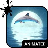 Dolphin Animated Keyboard   Live Wallpaper on 9Apps