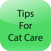 Tips For Cat Care icon