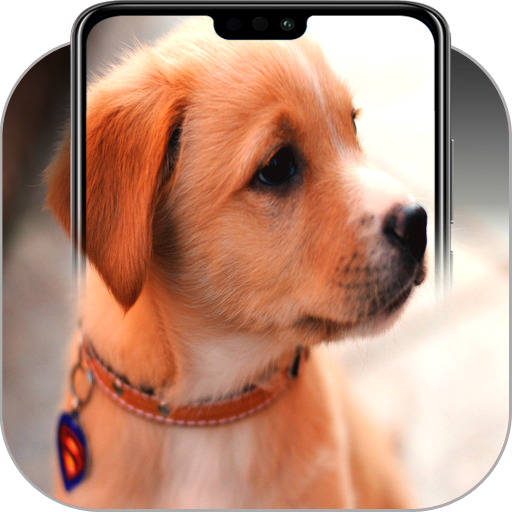 Cute Dog Wallpapers icon