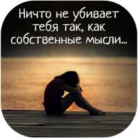 цитаты про жизнь