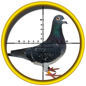Pigeon (Kabootar) Shooting, 3D icon