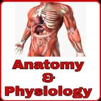 Anatomy & Physiology on 9Apps