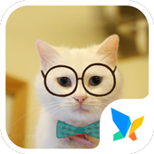 Cute Kittens 91 Launcher Theme icon