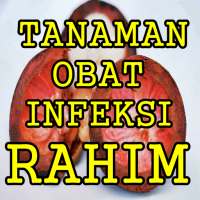 Ramuan Herbal Infeksi Rahim Cepat Dan Tuntas on 9Apps