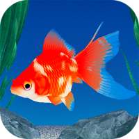 Goldfish 3D Relaxing Aquarium