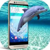 دولفين في شاشة الهاتف امزح مع أصدقائك on 9Apps