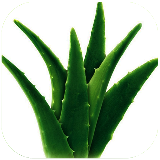 Health Benefits Of Aloe Vera icon