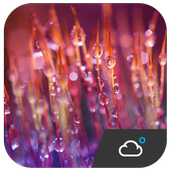 погода виджет прогноз погоды иконка