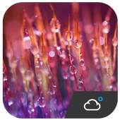 लाइव मौसम विजेट on 9Apps