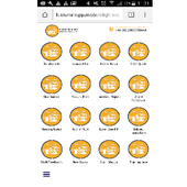 Alight Security icon