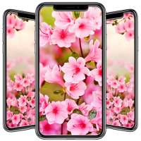 Spring Wallpaper on 9Apps