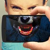 Werwolf-Foto, Das Sie on 9Apps