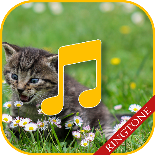 Cat Sounds Ringtones icon