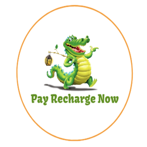 Pay Recharge Now Api Partner icon