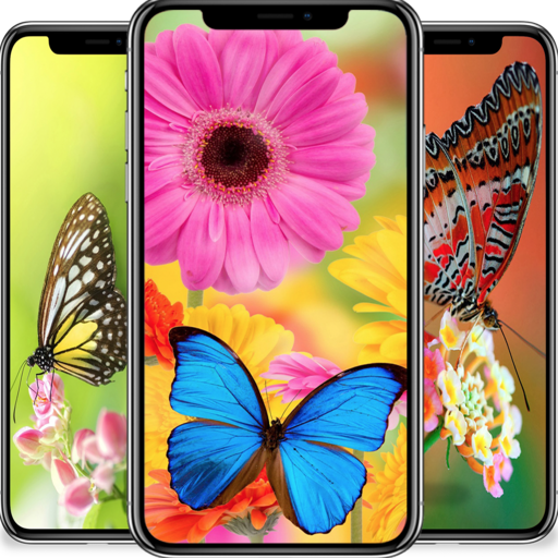 Butterfly wallpapers icon