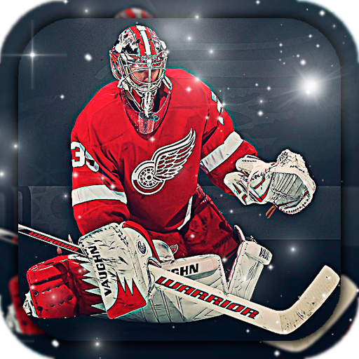 Hockey Wallpapers HD (backgrounds &amp; themes) icon