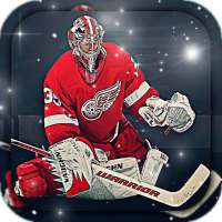 Hockey Wallpapers HD (backgrounds & themes) on 9Apps