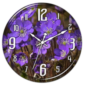 Violet Flower Clock Live WP icon