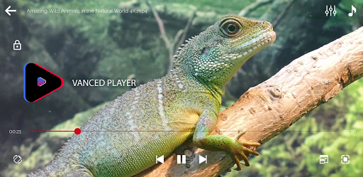 Vanced HD Video Player - Media Player & Play Movie screenshot 3