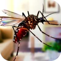Flying Insect Mosquito Home Life Sim 3D