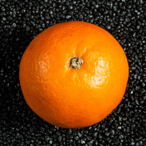 5 A Day Tracker icon