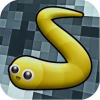Snake Puzzle
