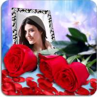 Rose Photo Frames HD