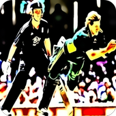 T20 Cricket Fever 2015 icon