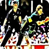 T20 Cricket Fever 2015