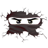 Adventures OF Ninja Go icon