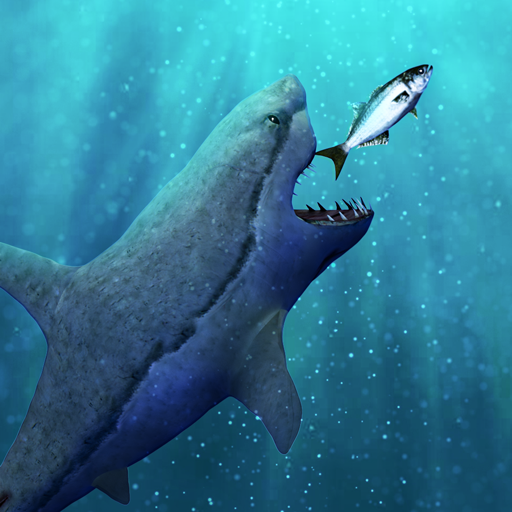 Hungry Crazy Shark World – Jaws Evolution Games icon