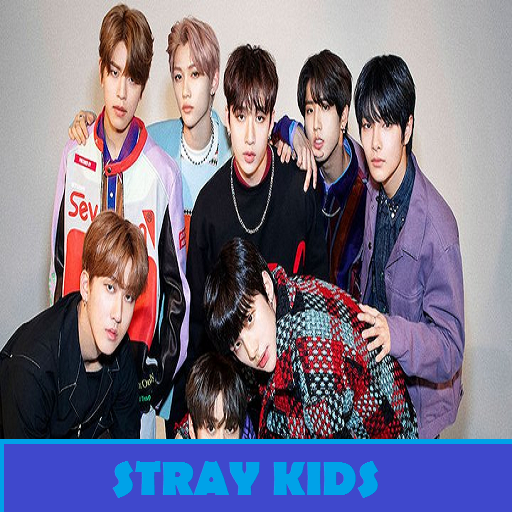 STRAY KID - OFFLINE SONG   LYRICS icon