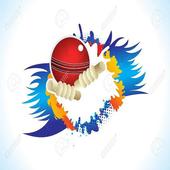 IPL Cricket Prediction icon