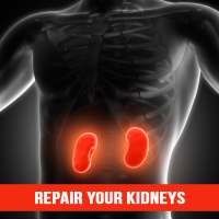 Repair Your Kidneys Naturally on 9Apps